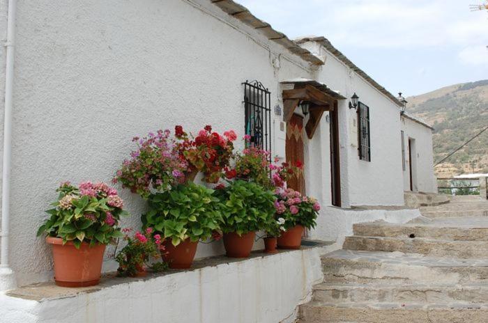 Apartamento Mirador Διαμέρισμα Capileira Εξωτερικό φωτογραφία